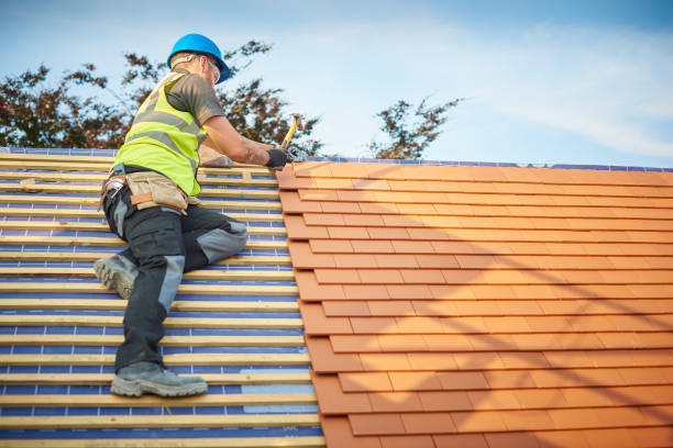 Best Emergency Roof Repair Services  in Lmar, DE